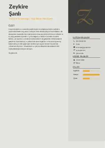 Hasta ve Yaşlı Bakım Elemanı Cv Örnekleri cv indir